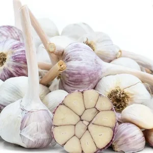 4 Music Garlic Bulbs for Planting - Hardneck Garlic for Home Garden - Image 5