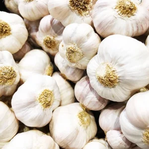 4 Music Garlic Bulbs for Planting - Hardneck Garlic for Home Garden - Image 7