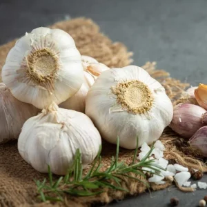 4 Music Garlic Bulbs for Planting - Hardneck Garlic for Home Garden - Image 8