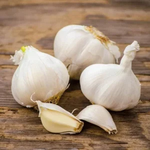 4 Music Garlic Bulbs for Planting - Hardneck Garlic for Home Garden - Image 1