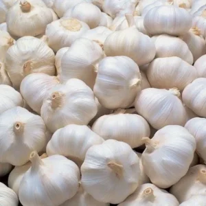 4 Polish Hardneck Garlic Bulbs for Planting - White Garlic Tubers - Image 2