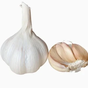 4 Polish Hardneck Garlic Bulbs for Planting - White Garlic Tubers - Image 3