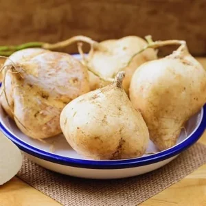40 Jicama Seeds for Planting - Grow Your Own Crisp Root Vegetable - Image 6