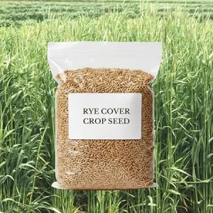 5 Lb Rye Cover Crop Seeds – Fast-Growing Grass Seed for Lawn & Garden, USDA Zones 3-10 - Image 2