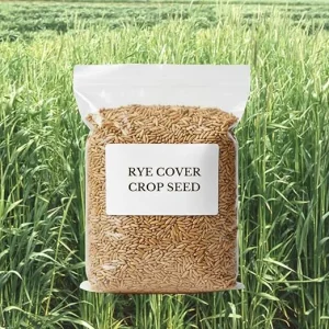 5 Lb Rye Cover Crop Seeds – Fast-Growing Grass Seed for Lawn & Garden, USDA Zones 3-10 - Image 6