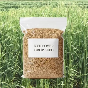 5 Lb Rye Cover Crop Seeds – Fast-Growing Grass Seed for Lawn & Garden, USDA Zones 3-10 - Image 1