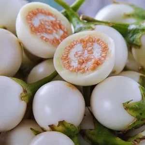 50 White Eggplant Seeds for Planting Outdoors - Vegetable Seeds Packet - Image 3