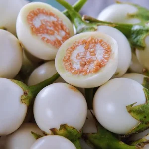 50 White Eggplant Seeds for Planting Outdoors - Vegetable Seeds Packet - Image 7