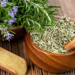 6 Blue Rosemary Live Plants 4-7'' Tall - Fragrant Outdoor Herb - Image 4