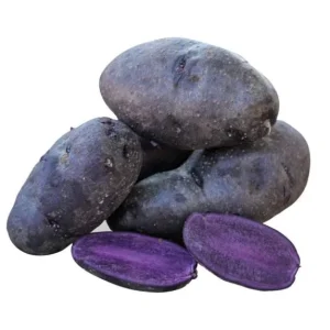70 Purple Potato Seeds for Planting - Easy Growing Sweet Potato Seeds - Image 2