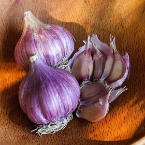 8 Mixed Hardneck Garlic Bulbs for Planting - White, Red, Purple - Image 5