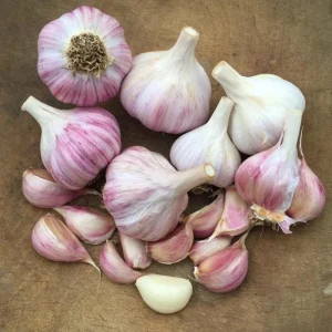 8 Mixed Hardneck Garlic Bulbs for Planting - White, Red, Purple - Image 6