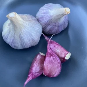 8 Peruvian Purple Stripe Garlic Bulbs for Planting - Hardneck Garlic - Image 6