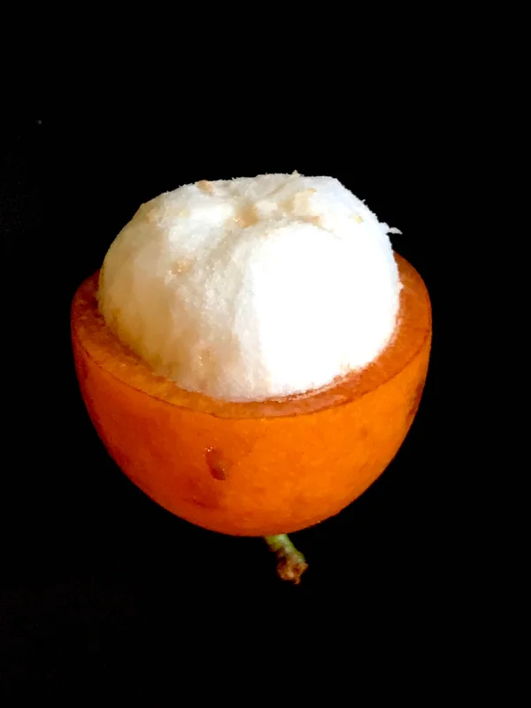 Achachairu Garcinia Humilis Live Plant - Tropical Fruit Tree Starter, 4-8'' Tall - Image 8