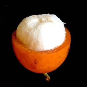 Achachairu Garcinia Humilis Live Plant – Tropical Fruit Tree Starter – 4-8 inches tall in 2.5 inch pot - Image 8