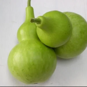 Birdhouse Gourd Seeds - 10 Seeds for Planting - Bottle Gourd - Image 2