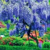 Blue Wisteria Live Plant, Vine, Tree, 4 Inch Pot, Outdoor - Image 1
