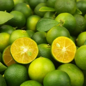 Calamansi Tree Live Plant, 4-5 Ft Tall, 5 Gallon Pot, Calamondin Citrus Fruit Tree for Patio & Indoor - Image 3