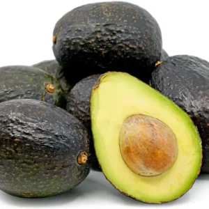 Cold Hardy Avocado Tree Live Plant - 1-2 Feet Tall, Zones 5-11, Indoor/Outdoor - Image 5