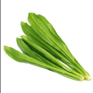 Culantro Seeds for Planting - 5000 Seeds, Eryngium foetidum, Herb Seeds - Image 2