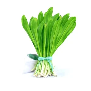 Culantro Seeds for Planting - 5000 Seeds, Eryngium foetidum, Herb Seeds - Image 1