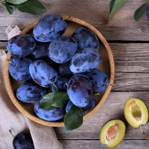 Deep Purple Plum Tree Live Plant – 3-4 Ft Tall – Bareroot – Hardy Fruit Tree - Image 5