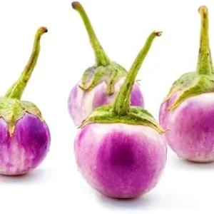 Eggplant Seeds - 100 Small White Purple Eggplant Vegetable Seeds for Outdoor Planting - Image 2