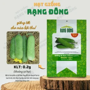 F1 Hairy Melon Seeds - Lemon Winter Melon Seeds (10 Seeds) for Planting - Image 2