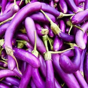 F1 Long Purple Eggplant Seeds - 30 Seeds for Planting | Vegetable Seeds - Image 5
