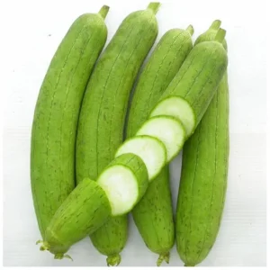 F1 Smooth Luffa Seeds - 10 Seeds for Planting Edible Gourds - Image 6