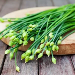 Garlic Chives Flower Seeds – 300 Seeds for Planting – Allium tuberosum - Image 3