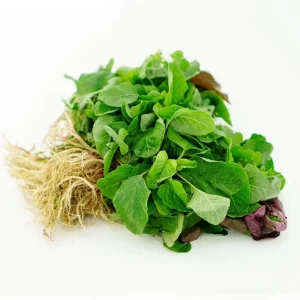 Green Amaranth Seeds - 7000 Seeds (20g) - Vietnamese Spinach for Planting - Image 5