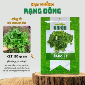 Green Amaranth Seeds - 7000 Seeds (20g) - Vietnamese Spinach for Planting - Image 6