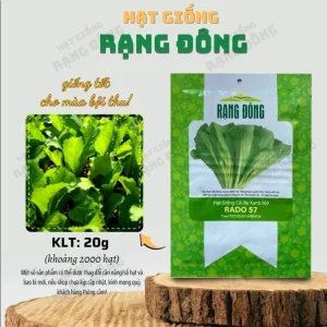 Green Leaf Mustard Seeds - 2000 Seeds for Planting Asian Greens - Image 2