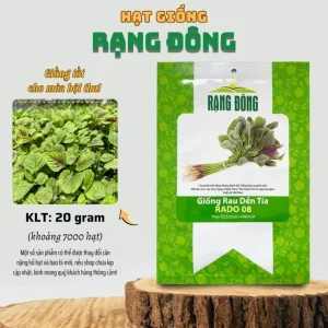 Green Red Amaranth Seeds - 7000 Vietnamese Planting Seeds, Edible Greens - Image 2