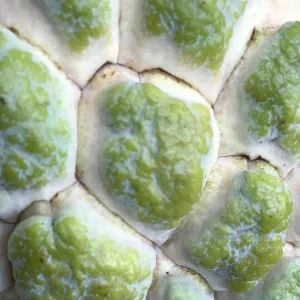 Green Sugar Apple Sweetsop Live Plant - Annona Squamosa Tropical Tree Starter, 4-7 inch tall, 2.5 inch pot - Image 7