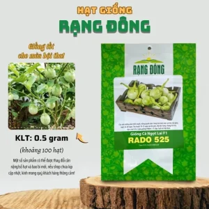 Green Thai Eggplant Seeds – 100 Seeds for Planting – Petch Siam Variety - Image 6