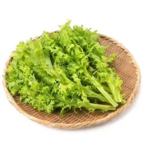 Green Wasabi Mustard Greens Seeds - 250 Seeds for Planting - Brassica Juncea - Image 3
