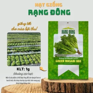 Green Wasabi Mustard Greens Seeds - 250 Seeds for Planting - Brassica Juncea - Image 5