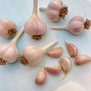 Hardneck Garlic Bulbs for Planting, 1 Pound, Heirloom White Garlic Tubers - Image 3