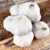 Hardneck Music Garlic Bulbs for Planting - 8 Count White Garlic Tubers - Image 1