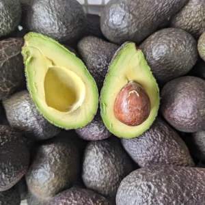 Hass Avocado Tree 3-3.5 Ft Tall - Cold Hardy Live Plant in 3 Gallon Pot - Image 6