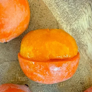 Imbe Garcinia Livingstonei Live Plant – African Mangosteen Tropical Fruit Tree – 3-6 inch Tall Starter Plant - Image 5