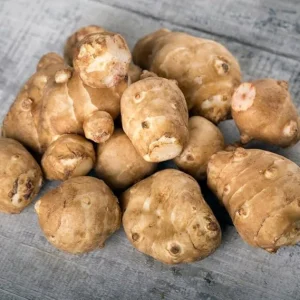 Jerusalem Artichoke Live Tubers - 5 Sunchoke Bulbs for Planting, Outdoor - Image 7