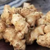 Jerusalem Artichoke Tubers for Planting – 0.5 LB Sunchokes – Perennial Vegetable - Image 1