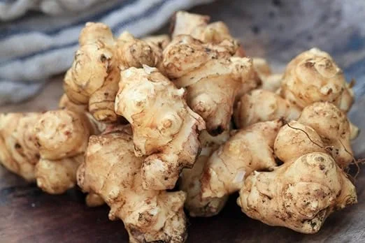 Jerusalem Artichoke Tubers for Planting – 0.5 LB Sunchokes – Perennial Vegetable - Image 1