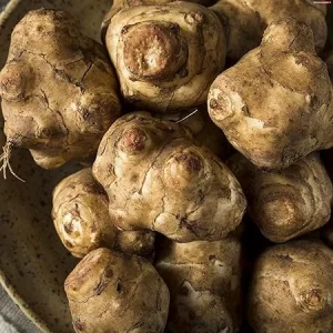 Jerusalem Artichoke Tubers for Planting - 1 LB Sunchoke Roots, Perennial - Image 1