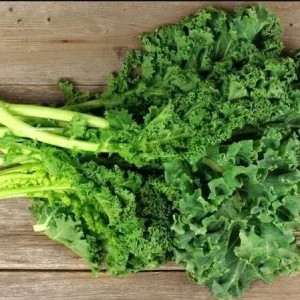 Kailaan Seeds - 500 Seeds - Big Stem Chinese Broccoli (Gai Lan) - Image 6