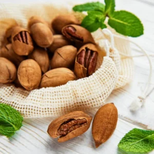 Live Pecan Tree 2-3 Ft Tall - Cold Hardy Nut Tree for Garden & Orchard - Image 2