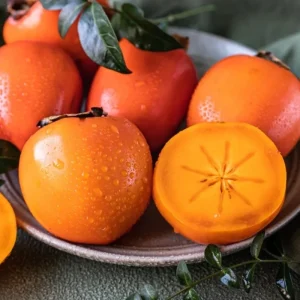 Live Persimmon Tree - 1 Ft Tall Hardy Fruit Tree for Outdoor Planting - Image 2